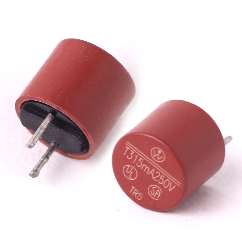 Wickmann RFS Fuse 0.315A 250V 0.545 Ohm - CEGROUP